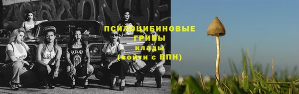 первитин Верхний Тагил