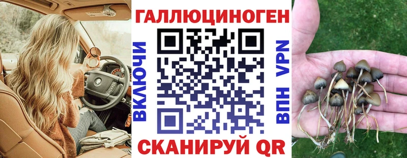 маркетплейс как зайти  что такое   Электроугли  Галлюциногенные грибы мухоморы 